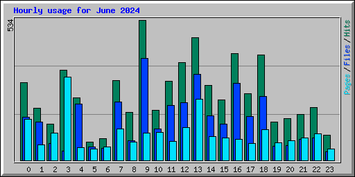 Hourly usage for June 2024