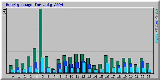 Hourly usage for July 2024