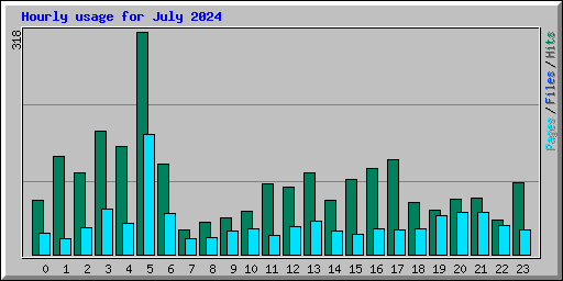 Hourly usage for July 2024