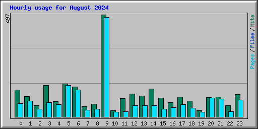 Hourly usage for August 2024