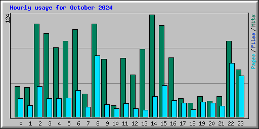 Hourly usage for October 2024